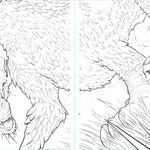 Fourth Wing: Official Coloring Book by Entangled 9798881604165_3