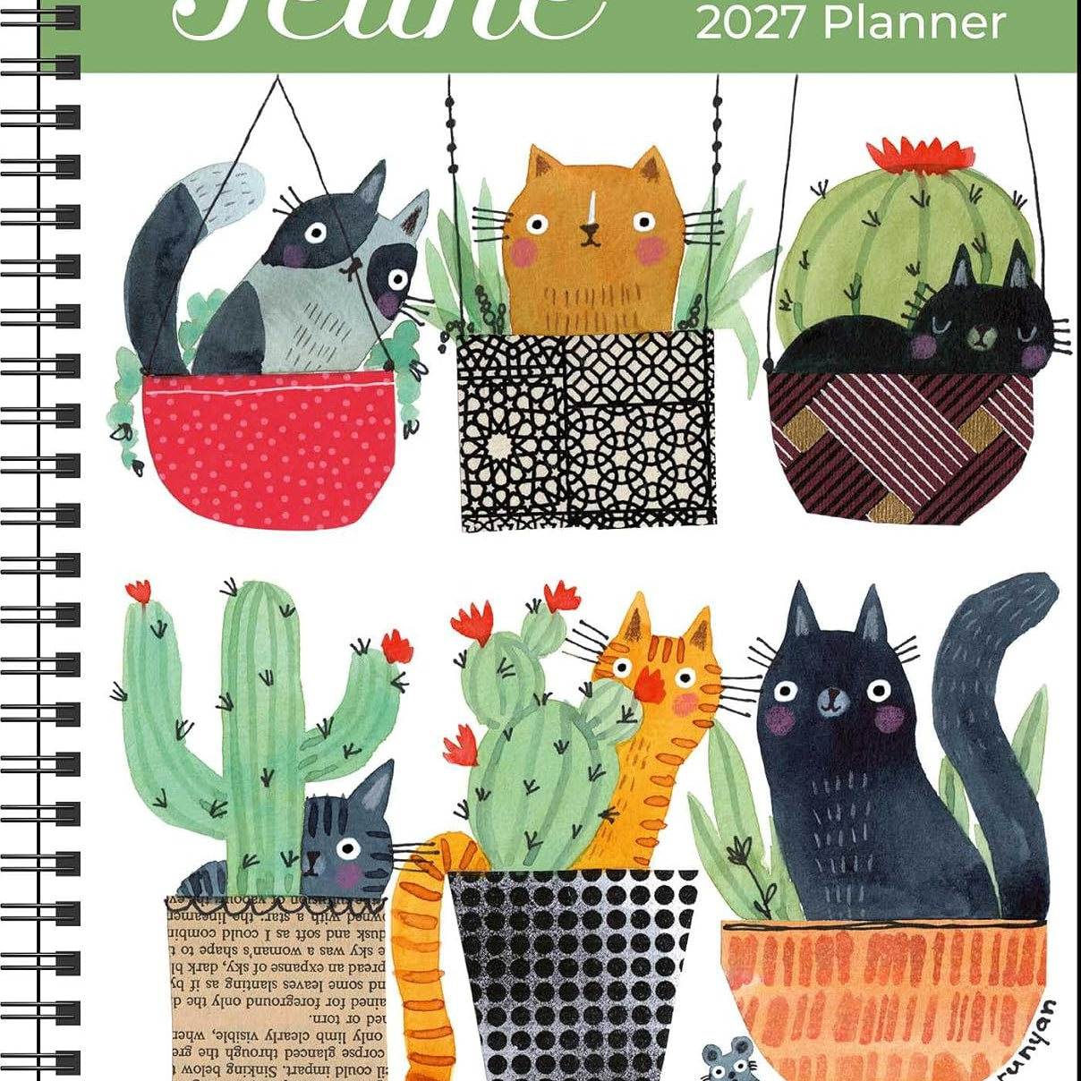 2027 Feline Monthly/Weekly Planner Calendar 20 9798881607906