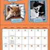 2027 Cats Are Cheaper Than Therapy Wall Calendar 12x12 20 9798881608668_1