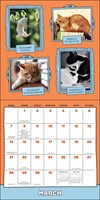 2027 Cats Are Cheaper Than Therapy Wall Calendar 12x12 20 9798881608668_1