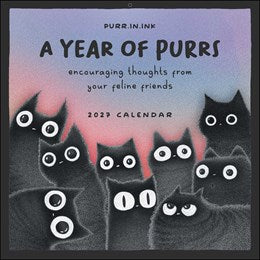 2027 A Year of Purrs Wall Calendar 12x12 20 9798881609658