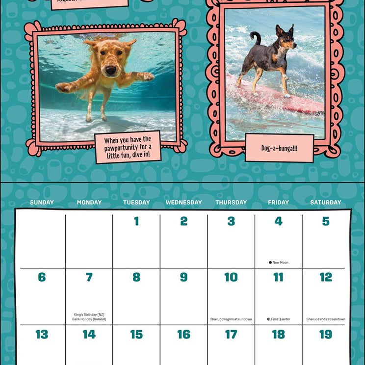 2027 Dogs Are Cheaper Than Therapy Wall Calendar 12x12 20 9798881610128_1