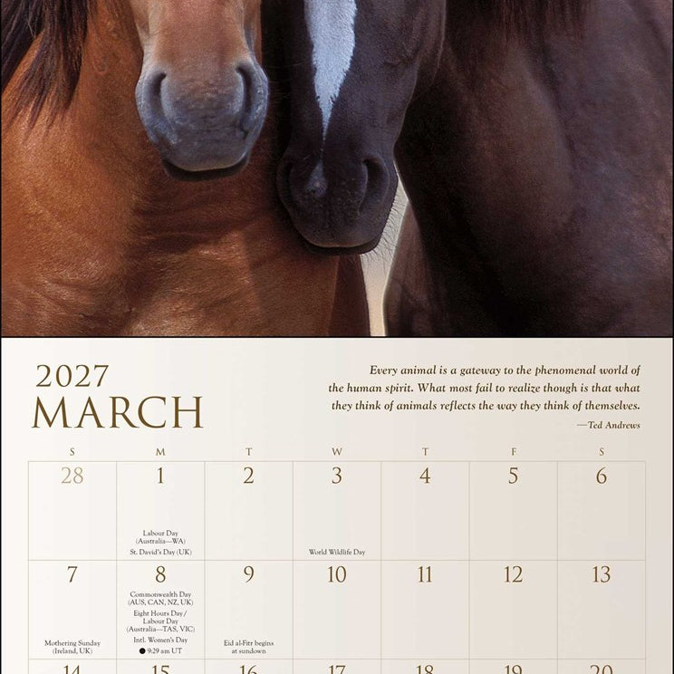 2027 Spirit Horses Wall Calendar 12x12 20 9798881610470_1