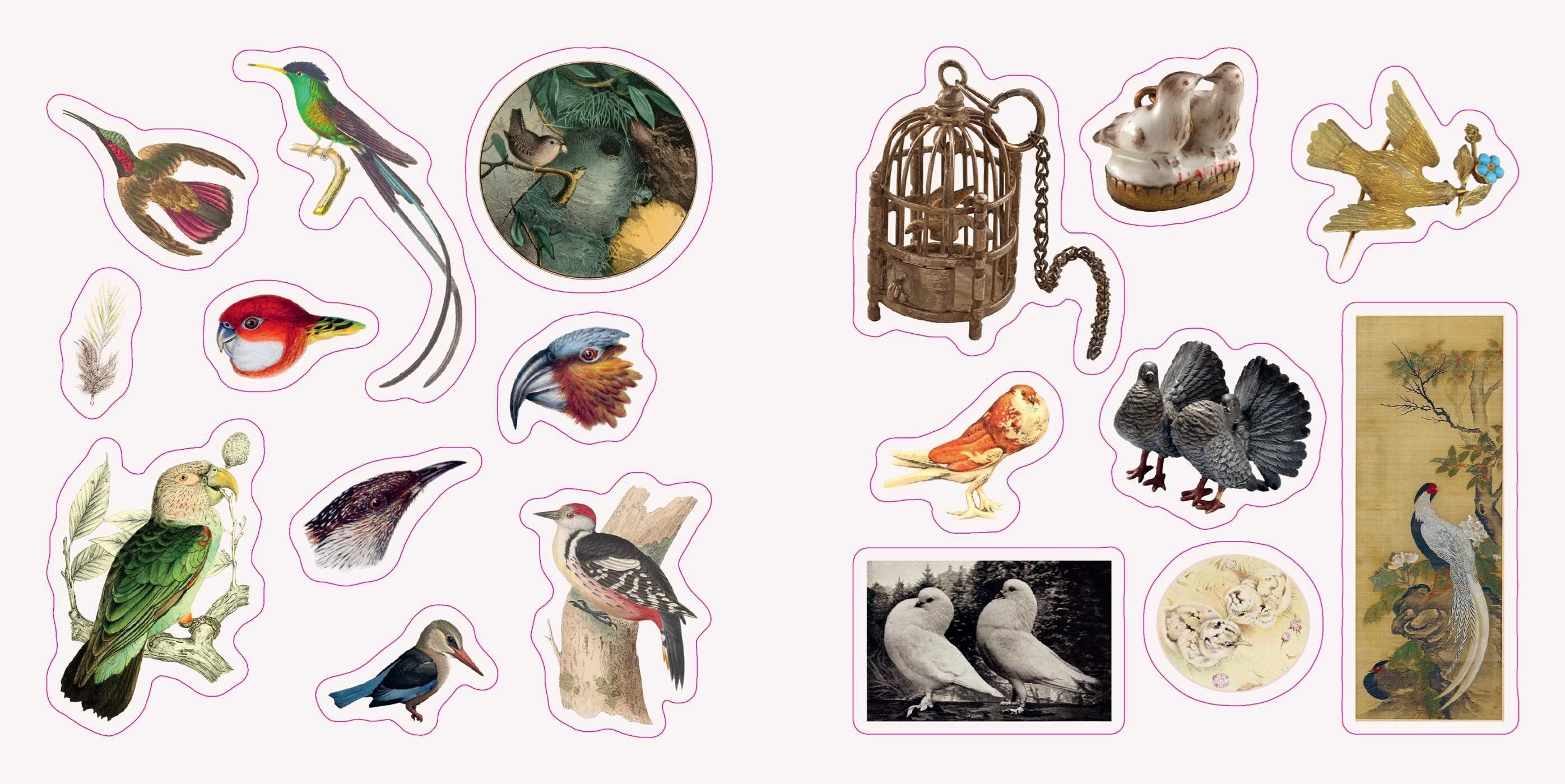 Birds: A Smithsonian Sticker Book from The Smithsonian Institution 20 9798881610975_1