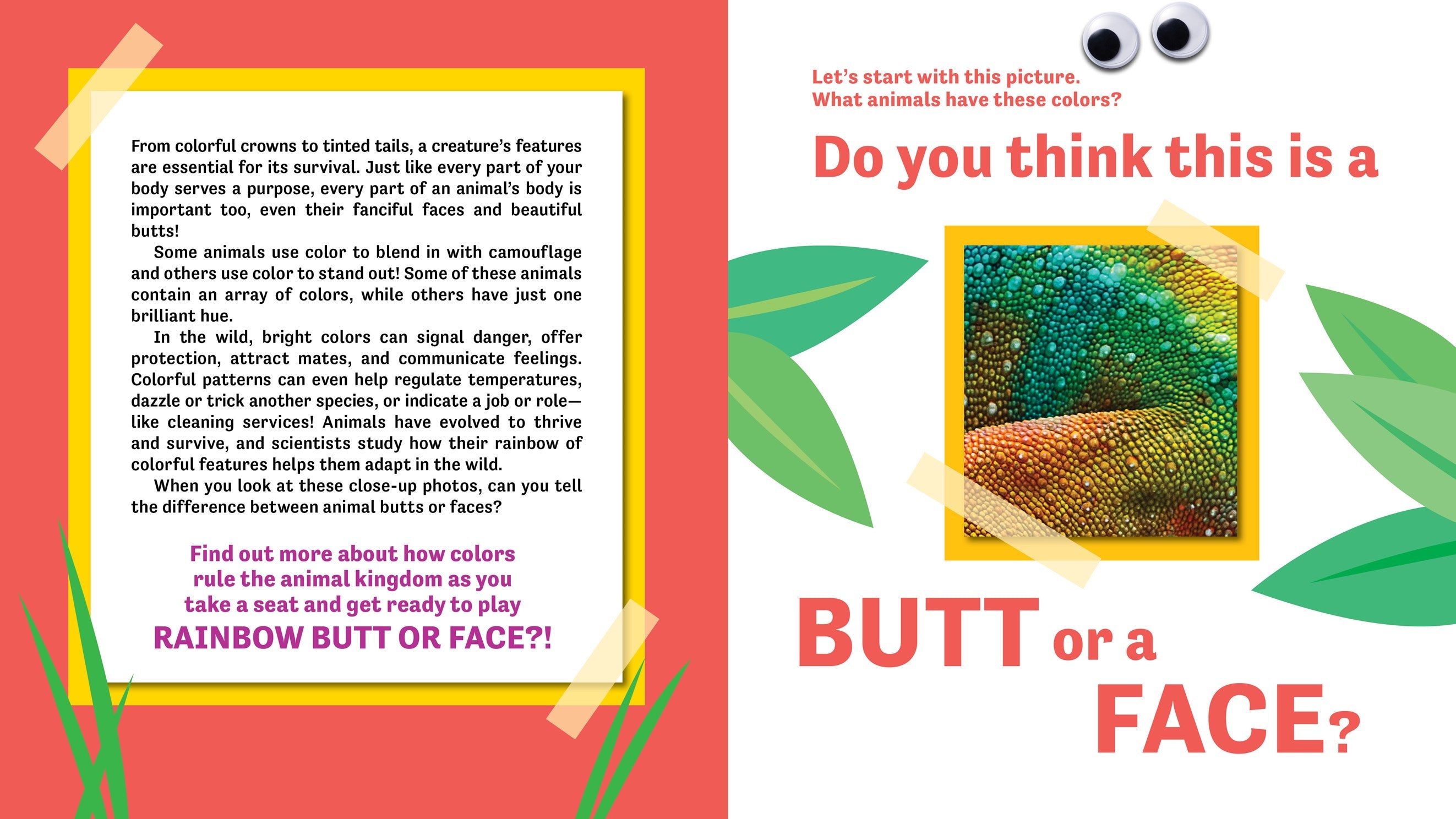 Butt or Face? Volume 5: Rainbow Butts by Lavelle. Kari 20 9798886083767_1