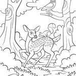 Woodland Animals: Sticker By Number by Owen. Weldon 20 9798886743852_3
