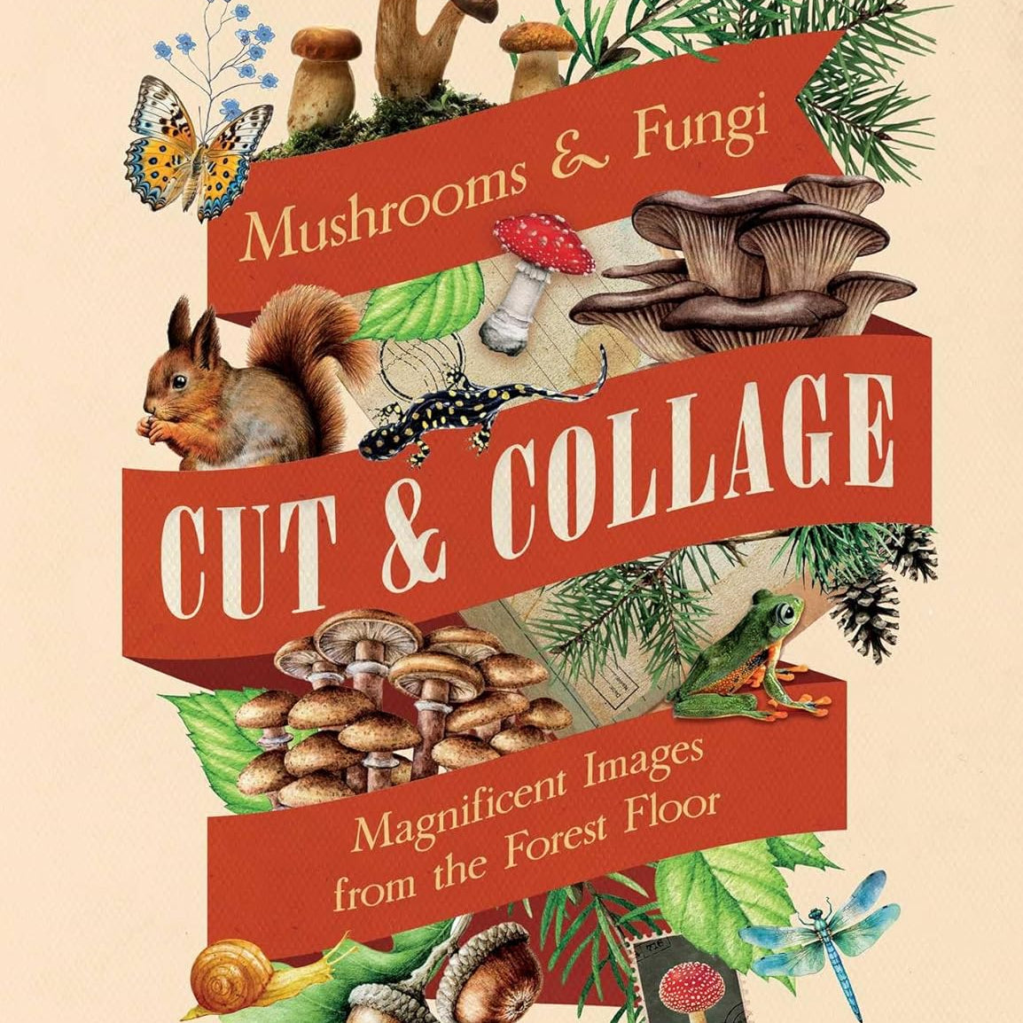 Cut & Collage Mushrooms Fungi 9798887621487