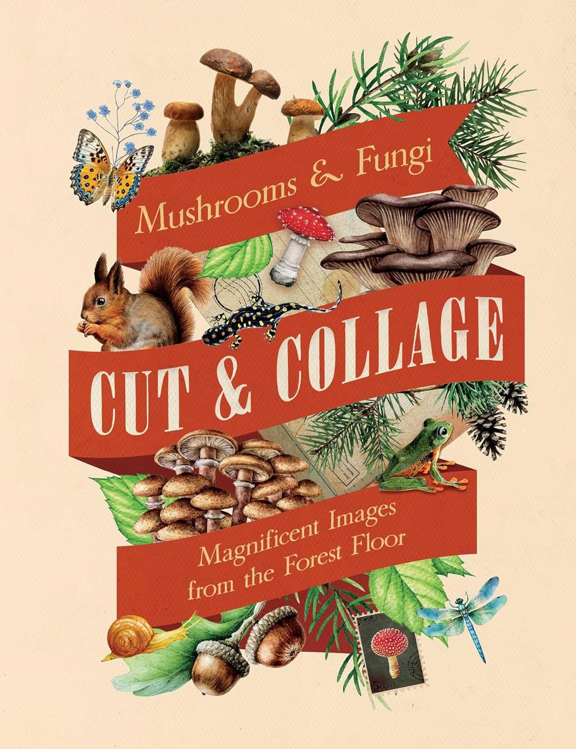 Cut & Collage Mushrooms Fungi 9798887621487