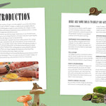 Cut & Collage Mushrooms Fungi 9798887621487_1