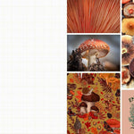 Cut & Collage Mushrooms Fungi 9798887621487_3