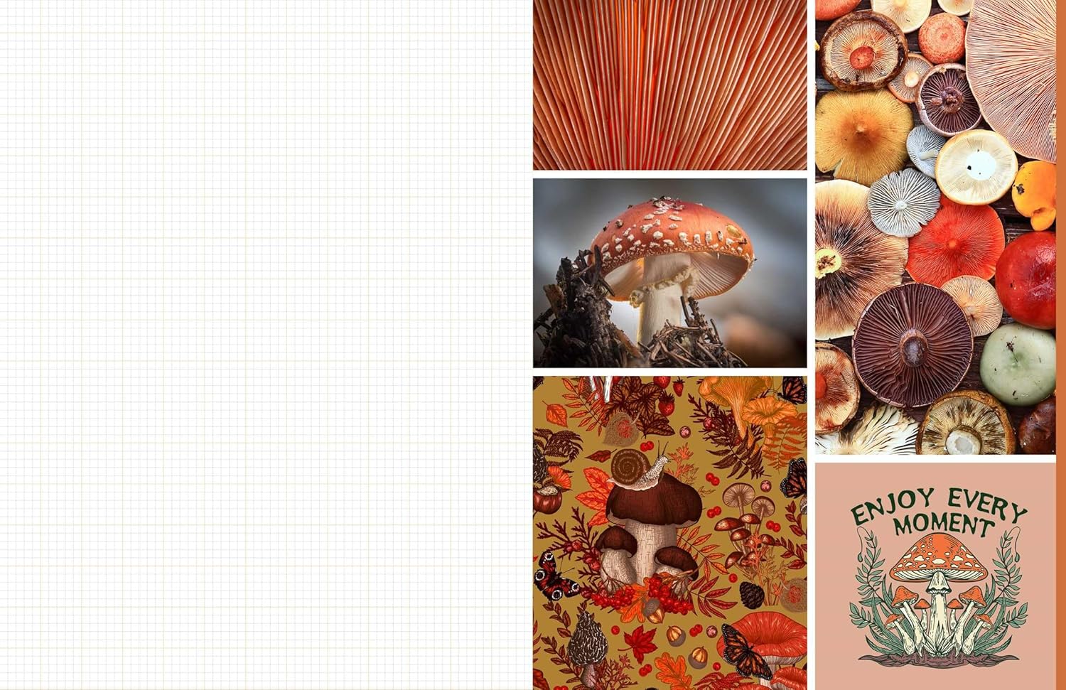Cut & Collage Mushrooms Fungi 9798887621487_3