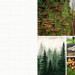 Cut & Collage Mushrooms Fungi 9798887621487_9