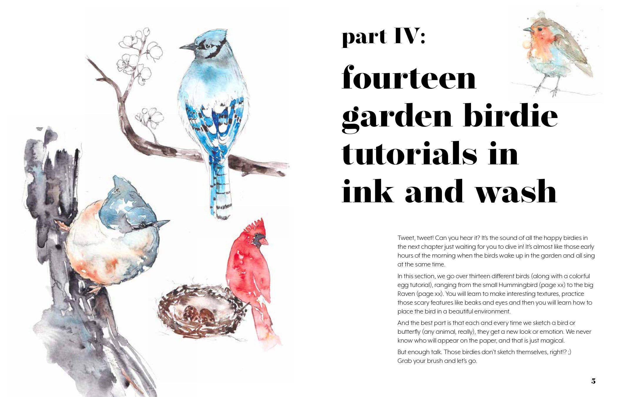 Ink & Wash in the Garden: Watercolor & Ink Birds, Insects, Wildlife & More by Brix. Camilla Damsbo 30 9798890039910_2