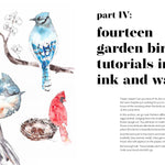 Ink & Wash in the Garden: Watercolor & Ink Birds, Insects, Wildlife & More by Brix. Camilla Damsbo 30 9798890039910_2