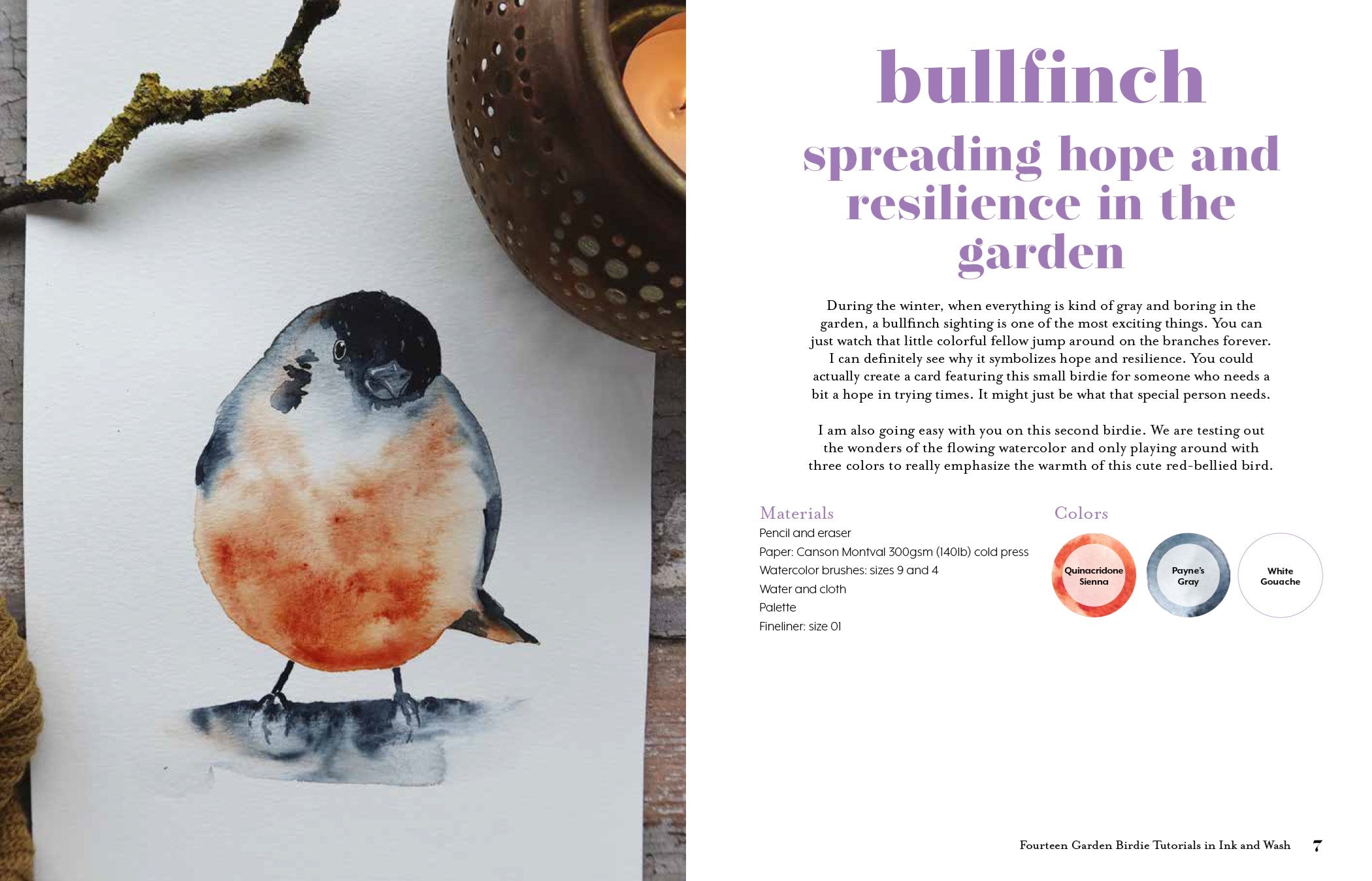 Ink & Wash in the Garden: Watercolor & Ink Birds, Insects, Wildlife & More by Brix. Camilla Damsbo 30 9798890039910_3