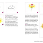 Ink & Wash in the Garden: Watercolor & Ink Birds, Insects, Wildlife & More by Brix. Camilla Damsbo 30 9798890039910_6