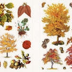 Sticker Emporium Cauldron Of Curiosites by Jordano. Powell 9798890191656_7