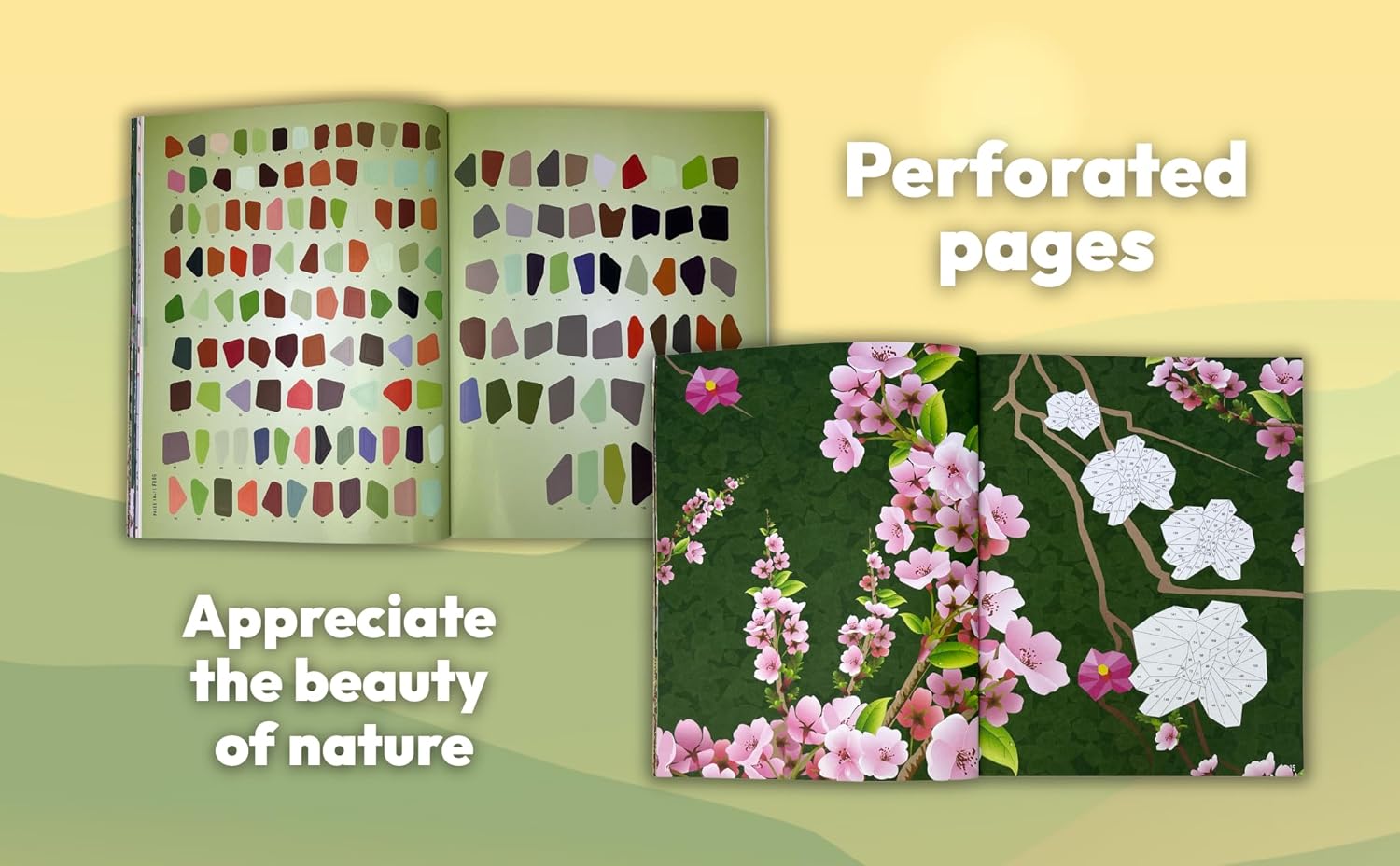 Sticker By Number Nature by Parragon Books 20 9798890191748_2