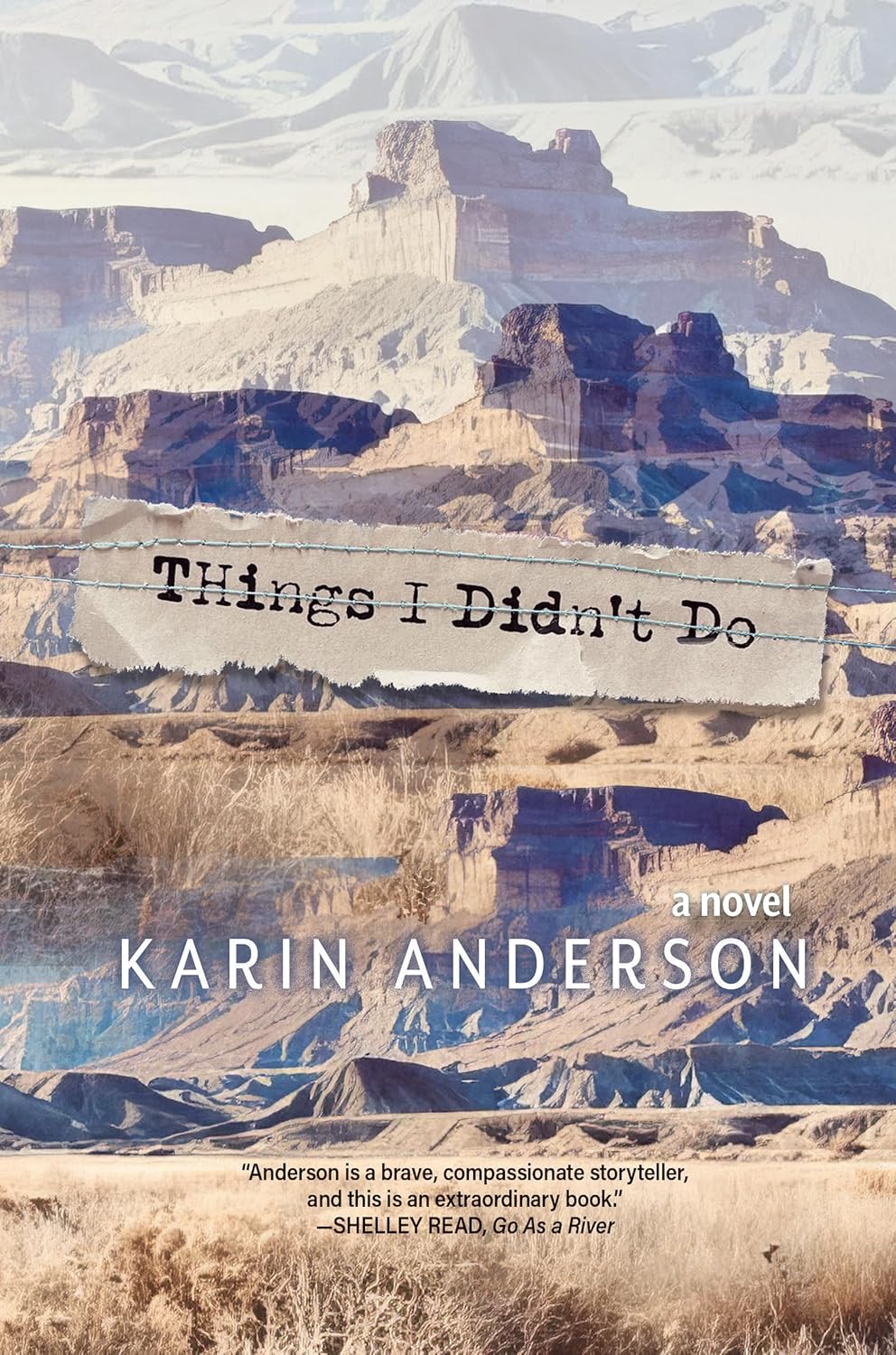 Things I Didn't Do by Anderson. Karin 9798890920263