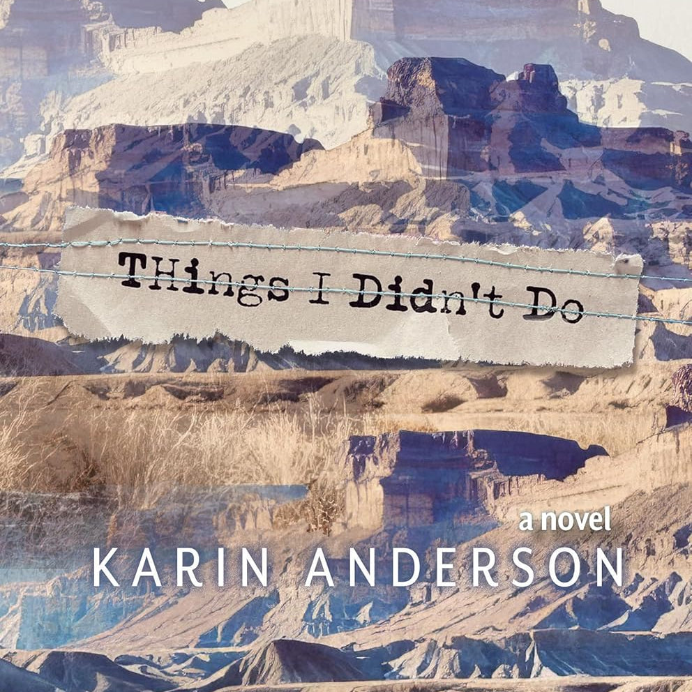 Things I Didn't Do by Anderson. Karin 9798890920263