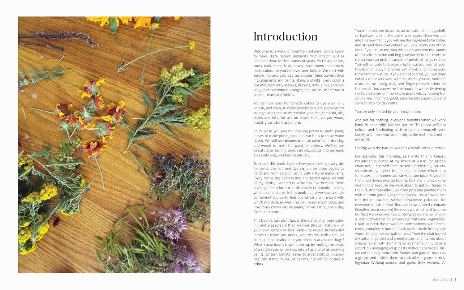 100 Botanical Colors: Make Your Own ...From Plants by Warnock. Caleb 9798893960600_1
