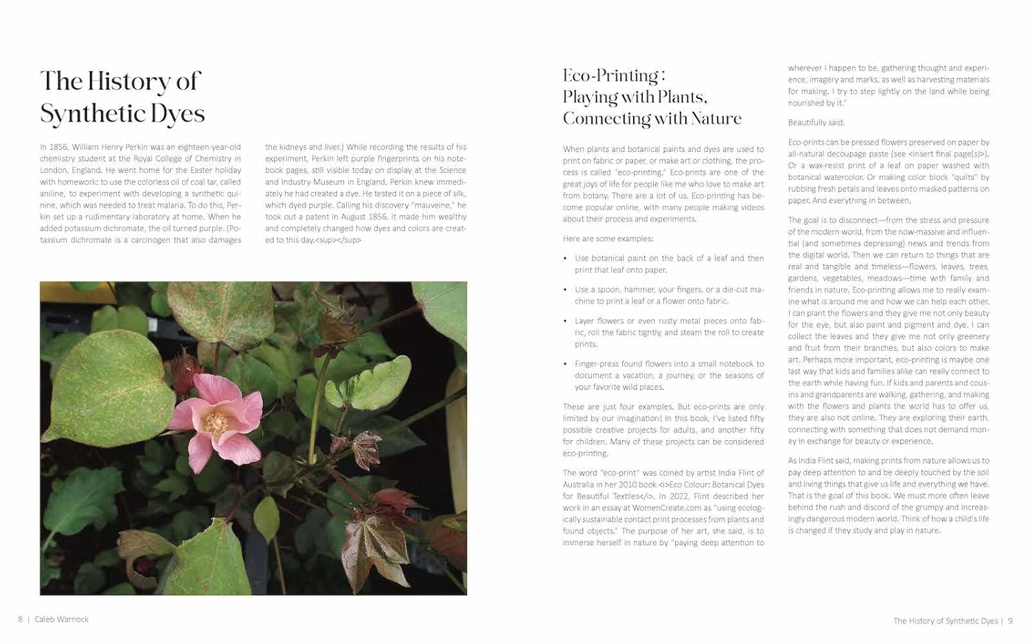 100 Botanical Colors: Make Your Own ...From Plants by Warnock. Caleb 9798893960600_2