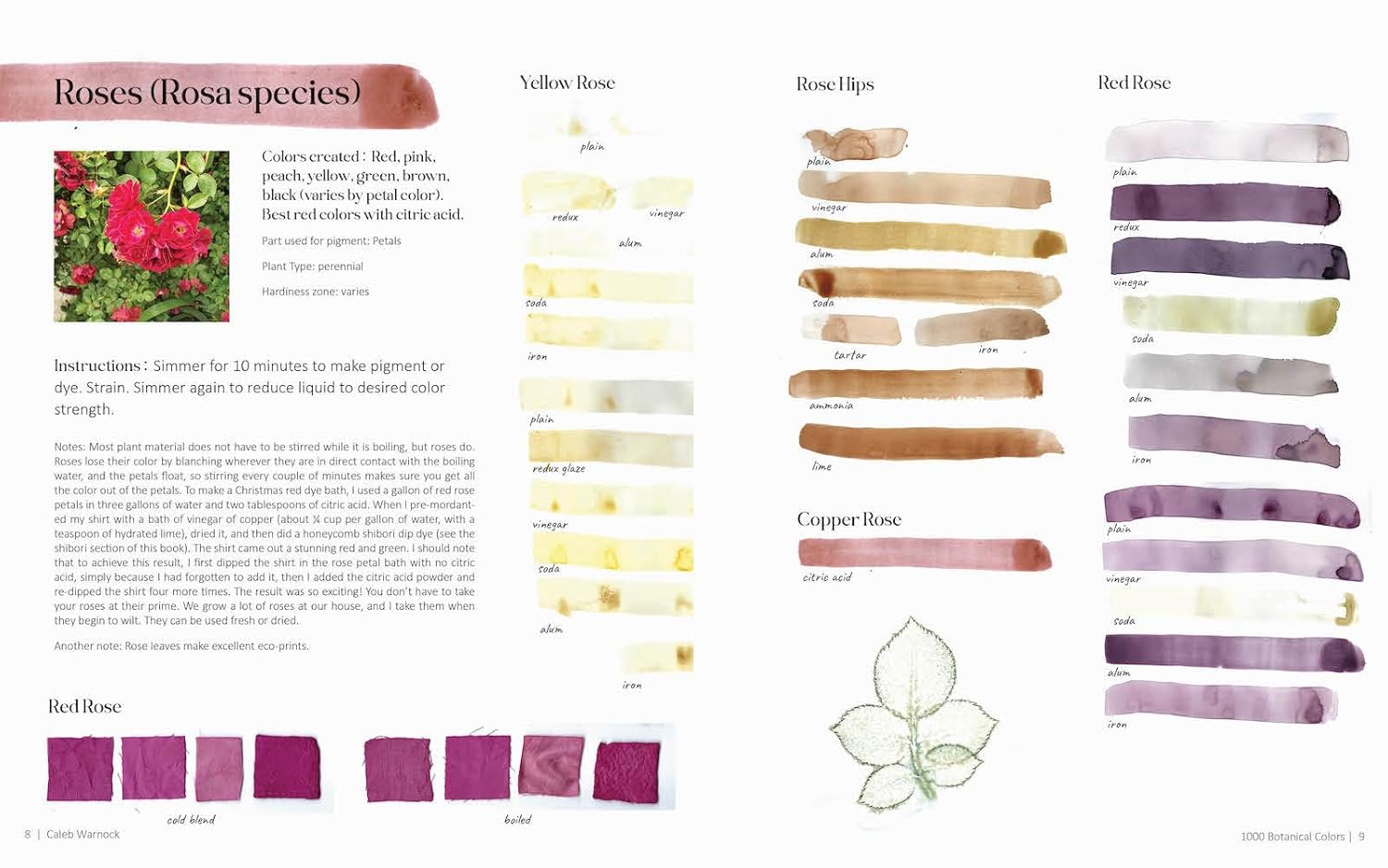 100 Botanical Colors: Make Your Own ...From Plants by Warnock. Caleb 9798893960600_6