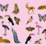 The Big Book of Queer Stickers: Incudes 1,000+ Stickers! by Molesso. Ahsley and Needham. Chess 20 9798894143644_4