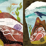 Mountain, Boulder, Pebble, Sand by Van Slyke. Rebecca, Illustrated by Ridolfi. Da 20 9798895090886_2
