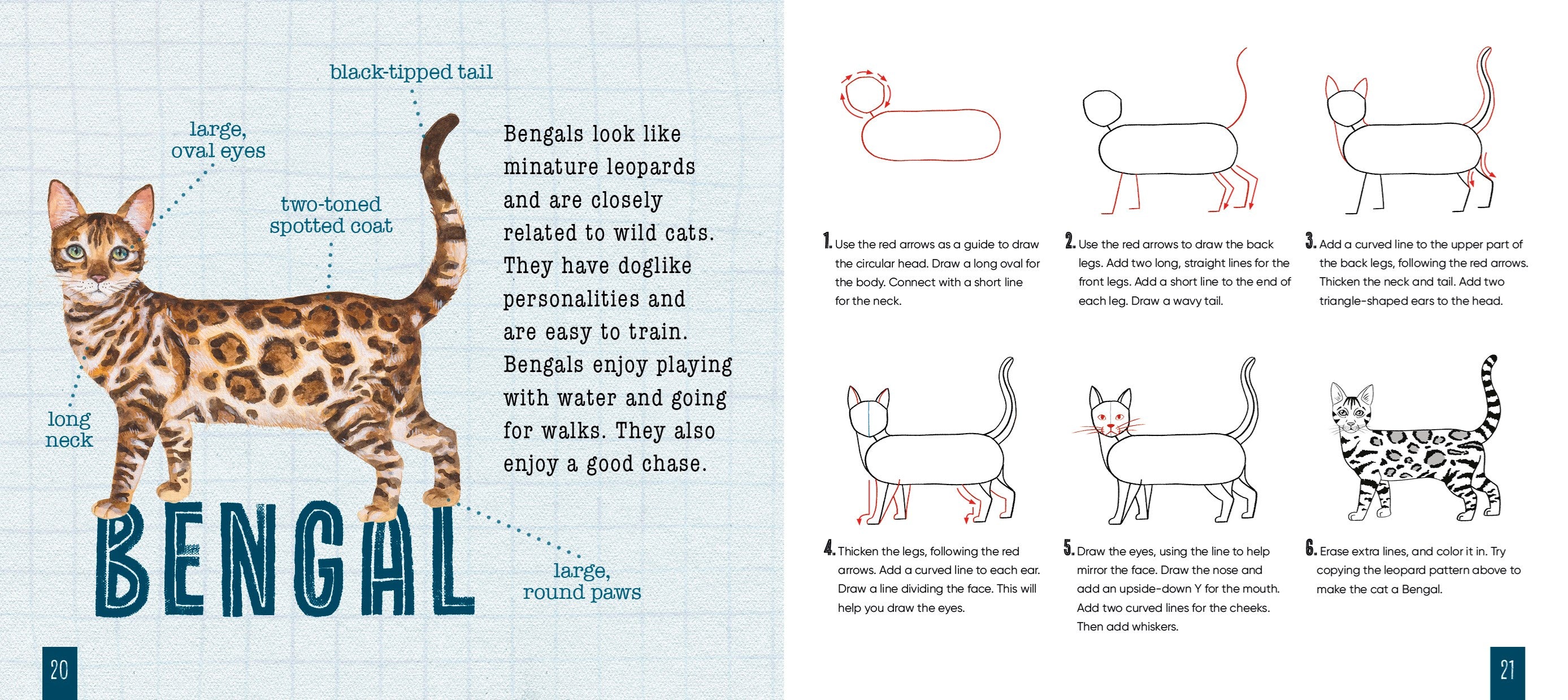 How to Draw Cats by Hood. Sara; Illustrated by Spenceley. Annabel