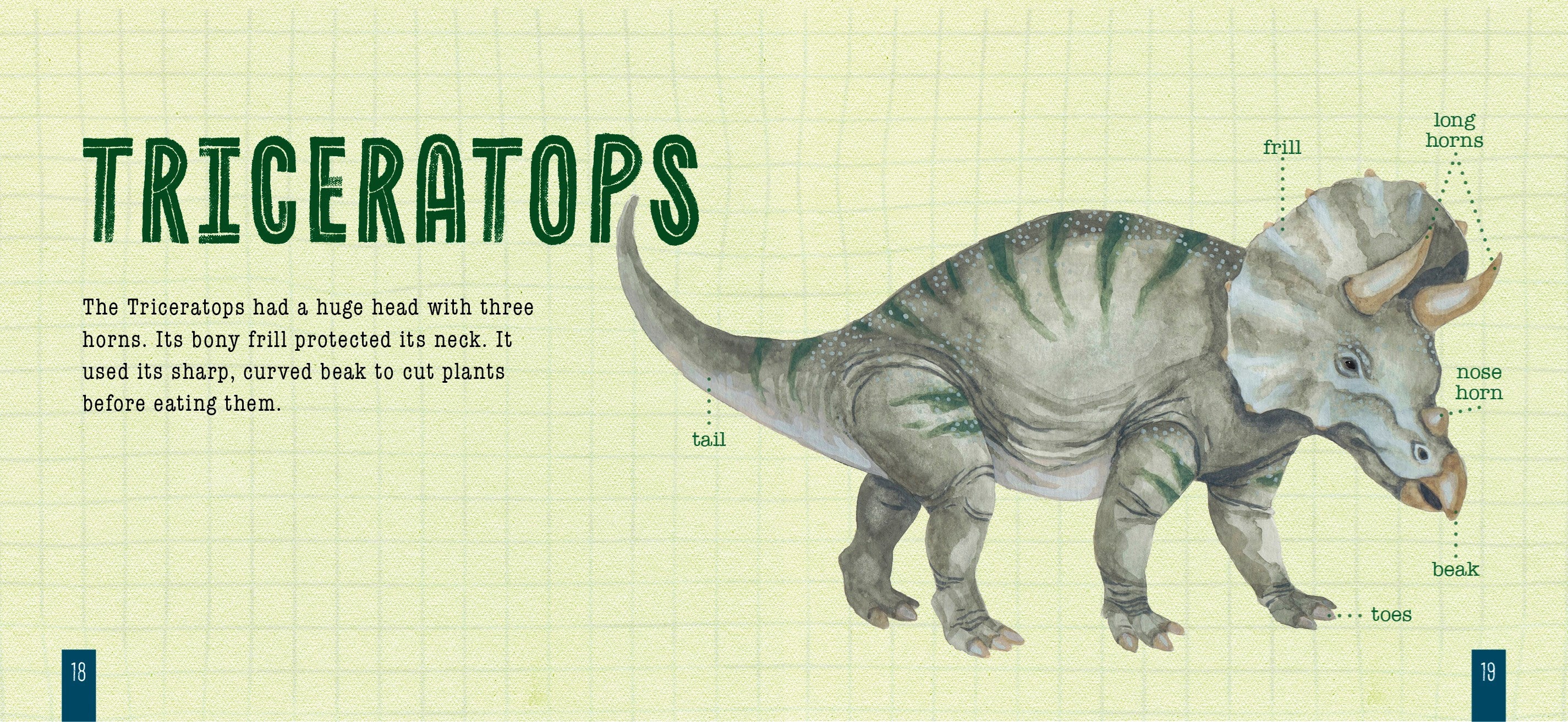 How to Draw Dinosaurs by Hood. Sara; Illustrated by Spenceley. Annabel 20 9798896851769_2