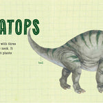 How to Draw Dinosaurs by Hood. Sara; Illustrated by Spenceley. Annabel 20 9798896851769_2