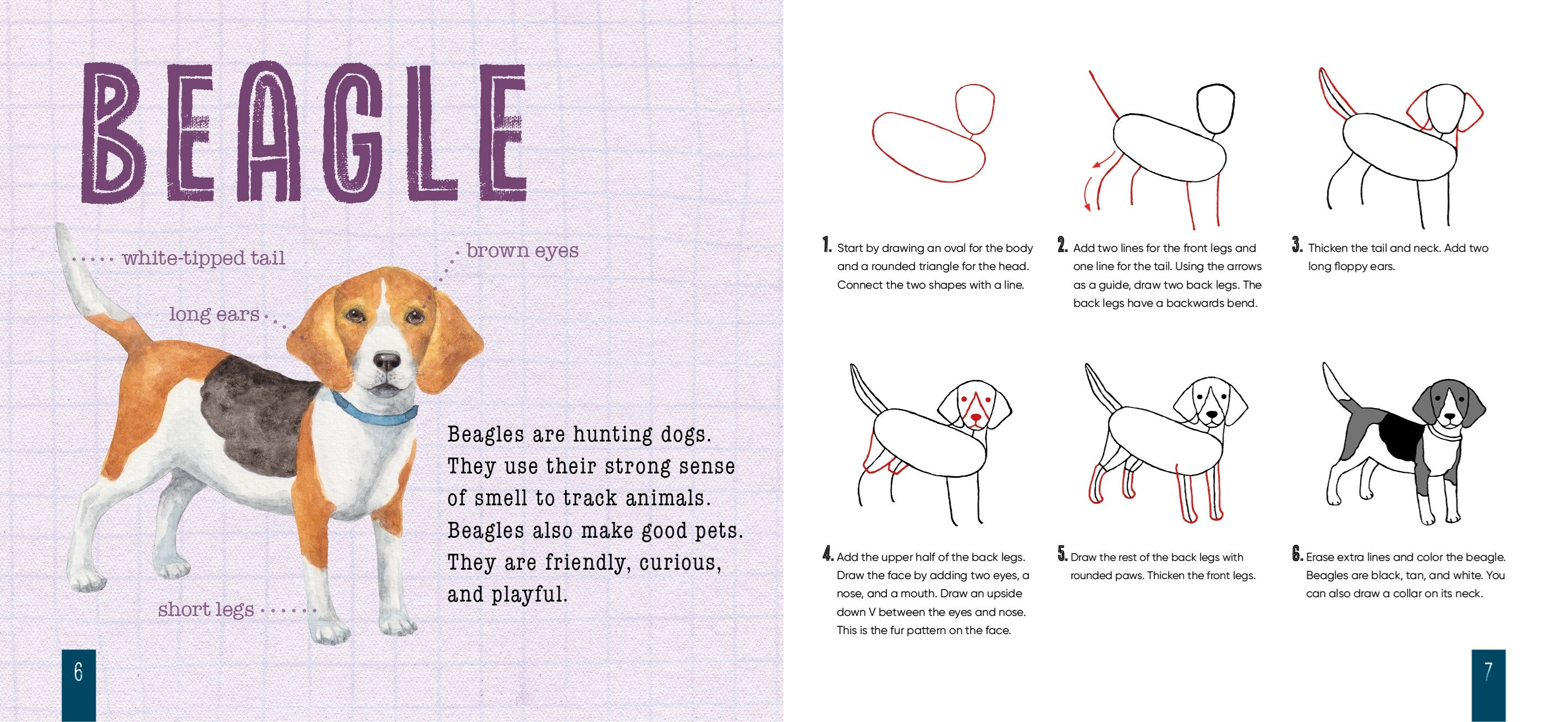 How to Draw Dogs by Hood. Sara; Illustrated by Spenceley. Annabel