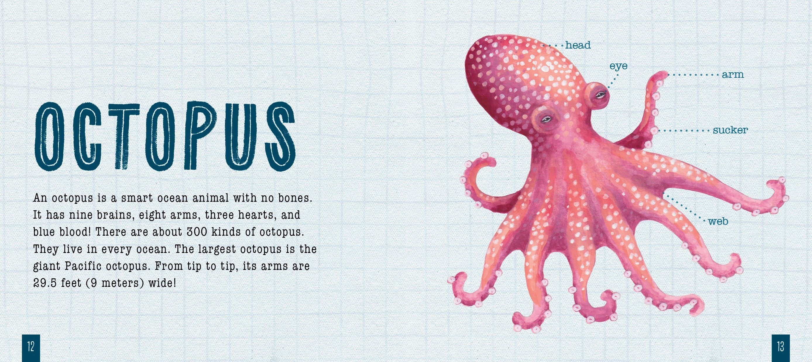 Available 08/11/26 How to Draw Ocean Animals by Hood. Sara; Illustrated by Spenceley. Annabel