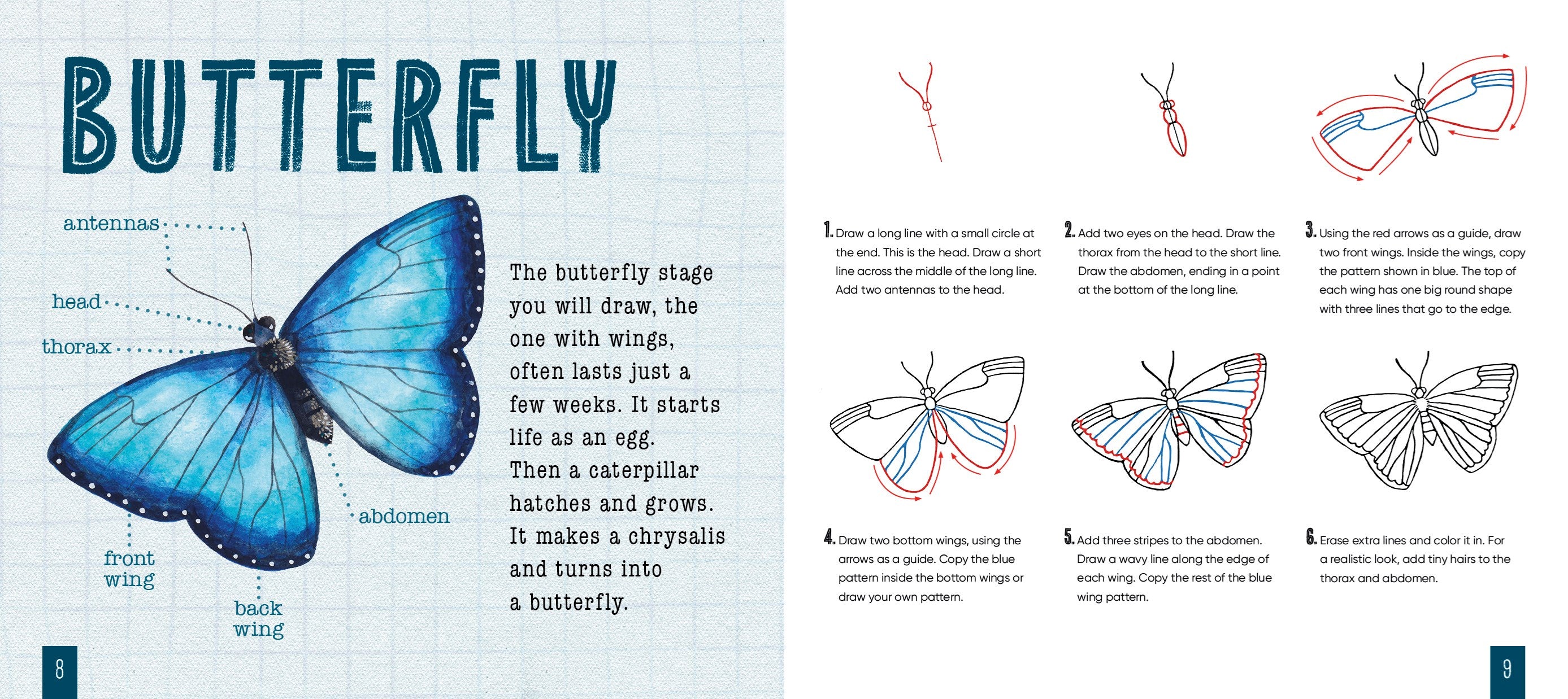 How to Draw Bugs by Hood. Sara; Illustrated by Spenceley. Annabel 20 9798896851806_1