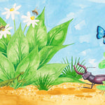 How to Draw Bugs by Hood. Sara; Illustrated by Spenceley. Annabel 20 9798896851806_2