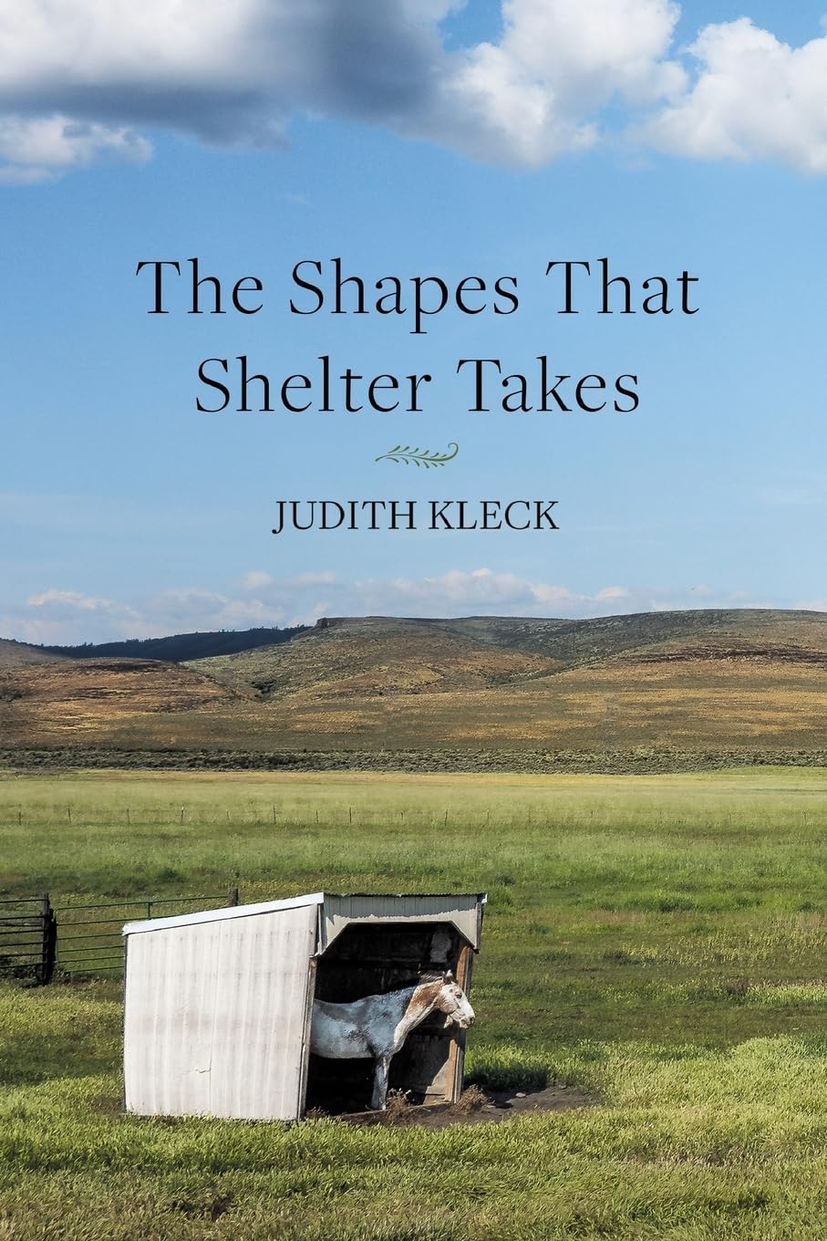 The Shapes That Shelter Takes by Kleck. Judith 9798899900532
