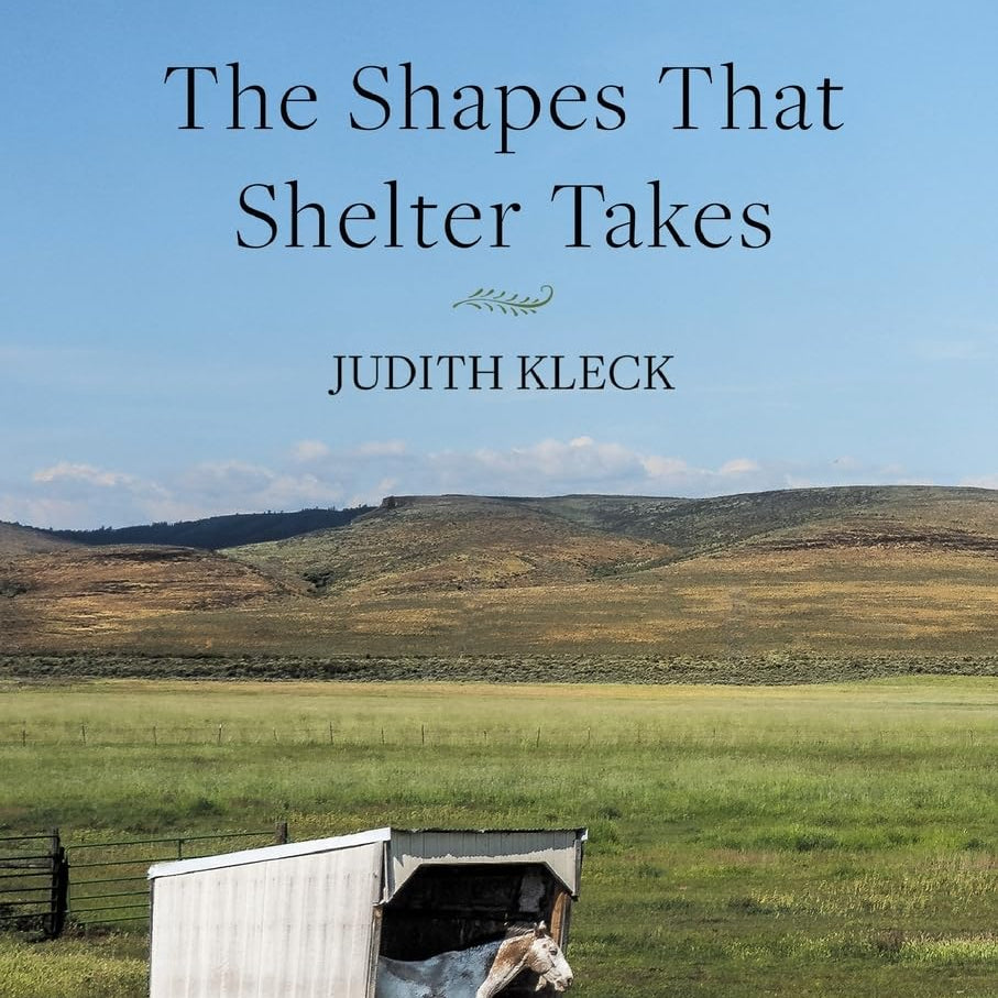 The Shapes That Shelter Takes by Kleck. Judith 9798899900532