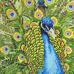 Peacock Diamond Art CW-10083_a0c57378-fa4b-4cf0-8b87-8e2e3f48e8aa