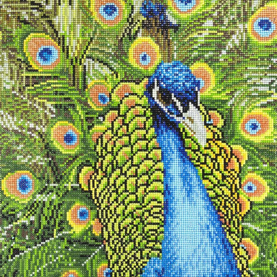 Peacock Diamond Art CW-10083_a0c57378-fa4b-4cf0-8b87-8e2e3f48e8aa