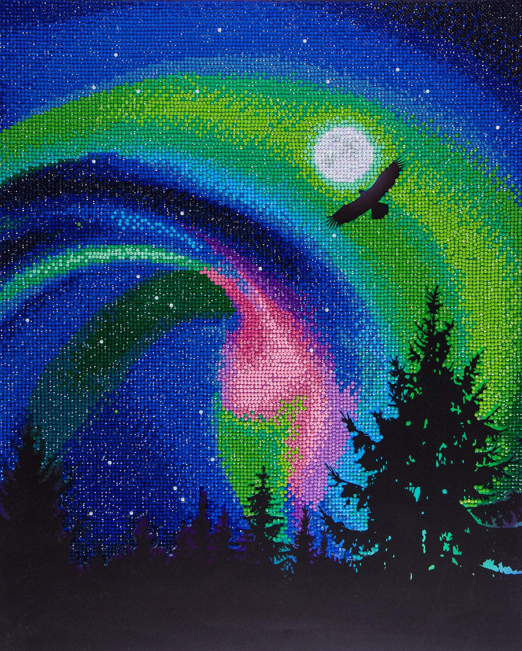 Aurora Eagle Diamond Art CW-10405