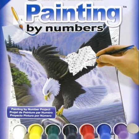 Sanctuary Eagle Paint By Numbe CW-10480