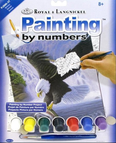 Sanctuary Eagle Paint By Numbe CW-10480