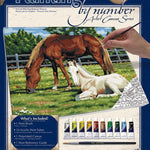 Horses In Field Paint By Number Canvas Large CW-10493