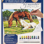 Horses In Field Paint By Number Canvas Large CW-10493