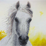 White Horse Diamond Art Kit, Intermediate 12X12 CW-11425_1