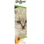 Diamond Art By Leisure Arts, White Cat, Intermediate 12X12 CW-11433