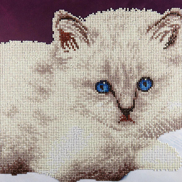 Diamond Art By Leisure Arts, White Cat, Intermediate 12X12 CW-11433_1