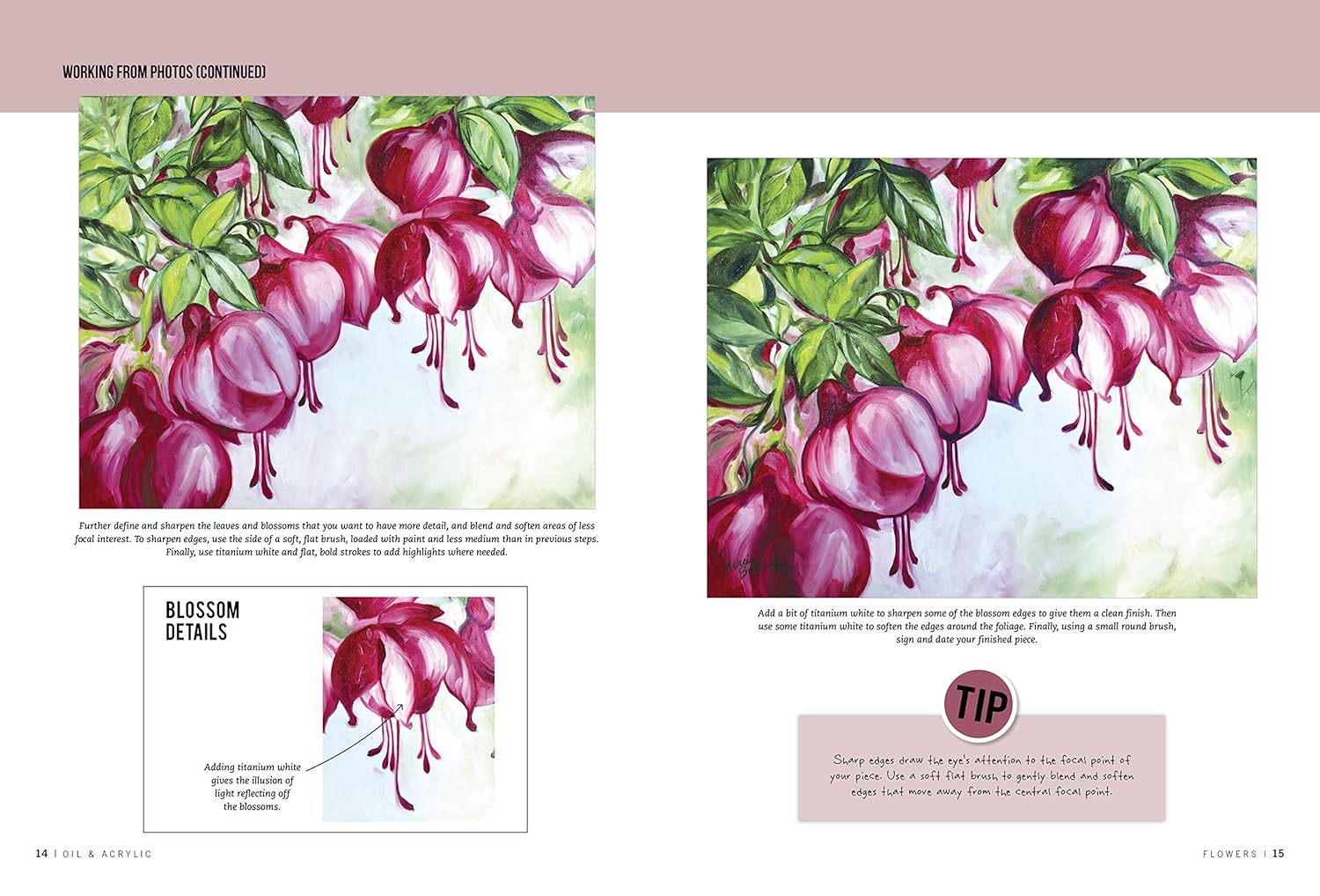 Oil & Acrylic: Flowers: Learn To Paint Step By Step (How To Draw & Paint) CW-11539_3