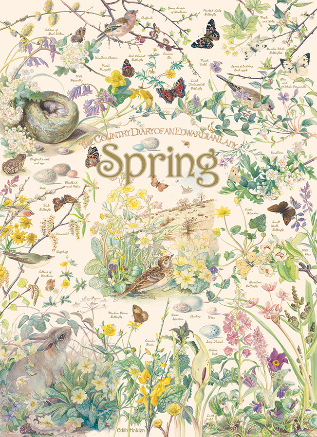 Country Diary: Spring 1000 Piece Cobble Hill Puzzle - Stott. Rowena CW-12038